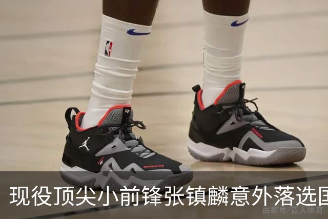 现役顶尖小前锋张镇麟意外落选国家队，郭士强选择背后的深层原因解析